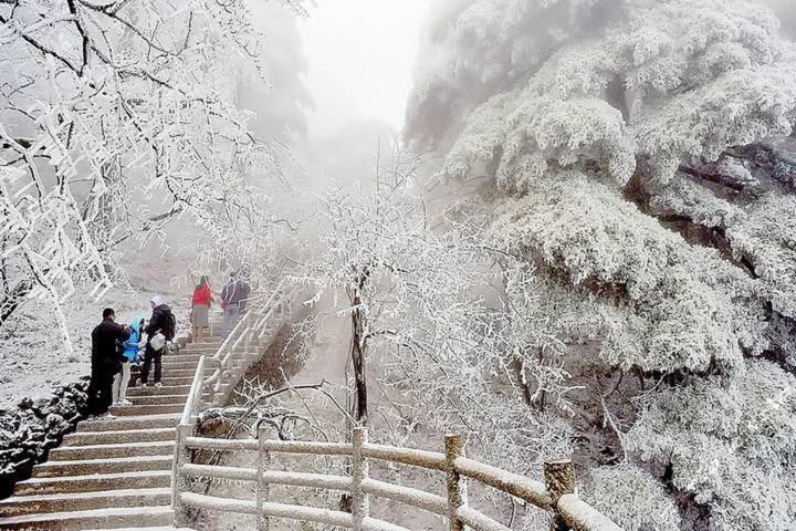 Old Street Xi'an Homestay *